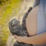 gatos en el embarazo toxoplasmosis